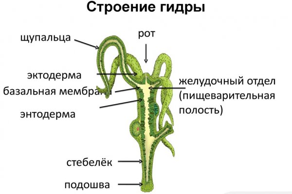 Kraken сайт зеркала krakens15 at